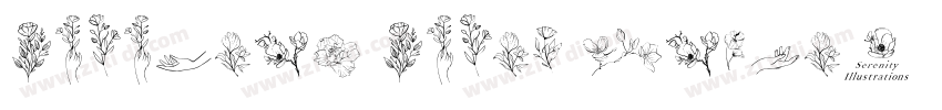 Serenity Serif Itali字体转换